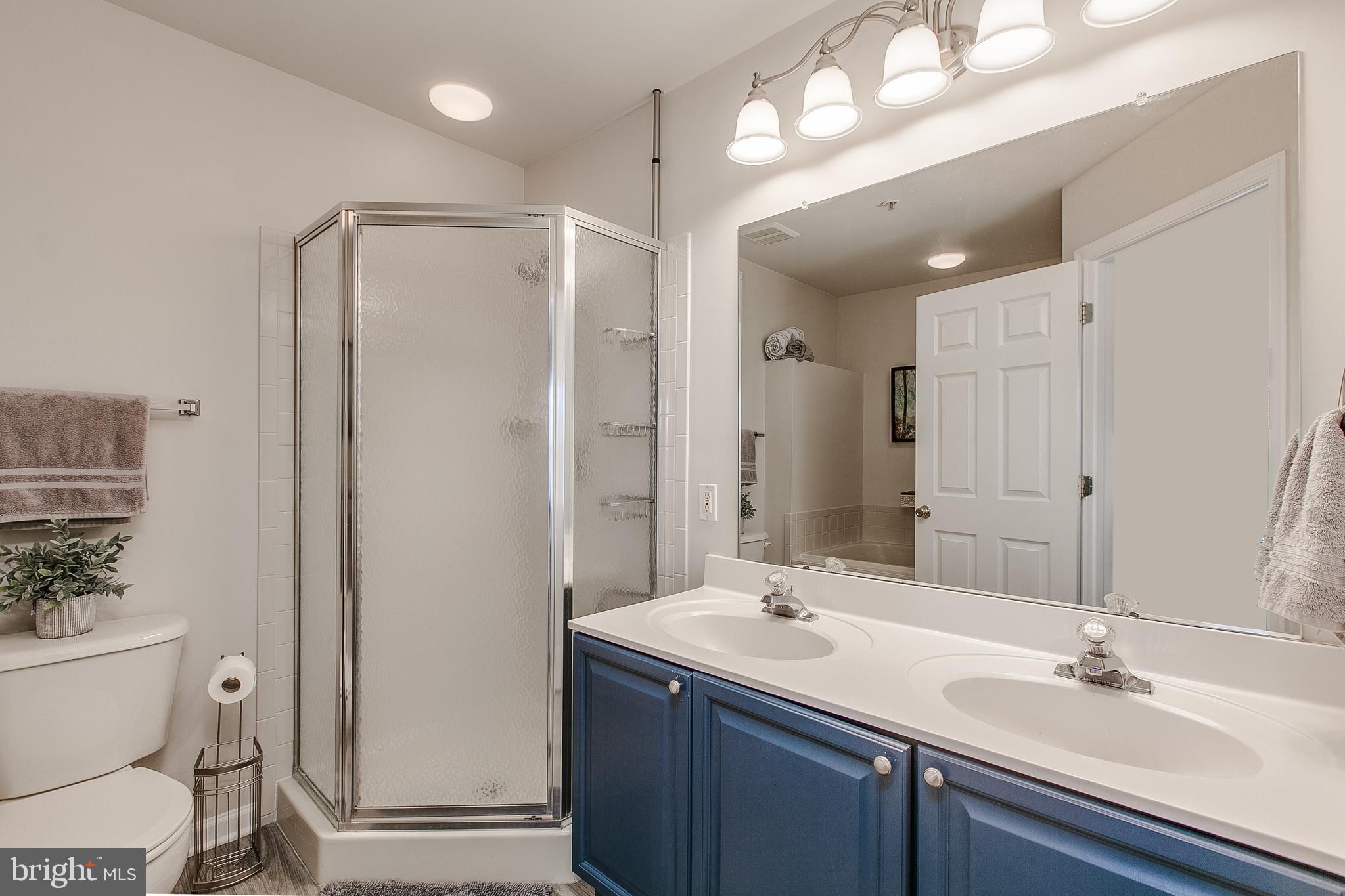 118 Sentry Ridge Smithsburg, MD 21783 - Photo 22 of 39 Separate shower!