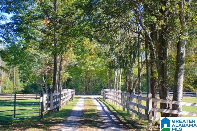 1785 Nunnally Lake Road Ohatchee, AL 36271 - Photo 1 of 50