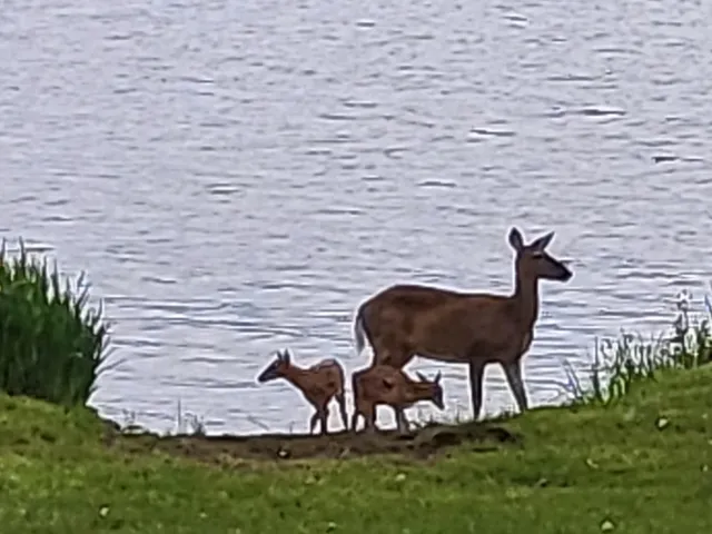 $395,000 | 10922 South Stone Road, Solon Springs, WI 54873