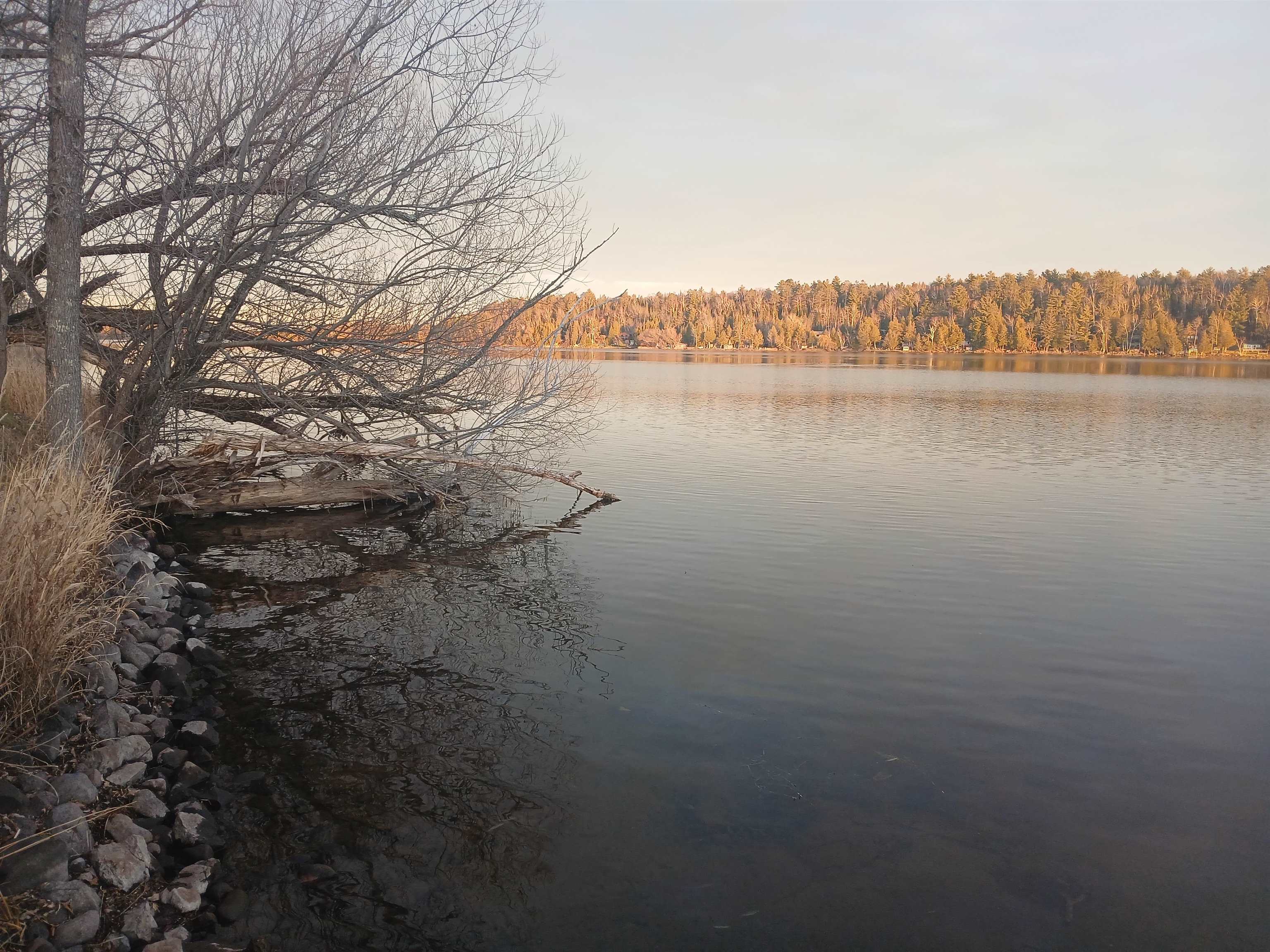 10922 South Stone Road Solon Springs, WI 54873 - Photo 7 of 64 Water view featuring a heavily wooded area
