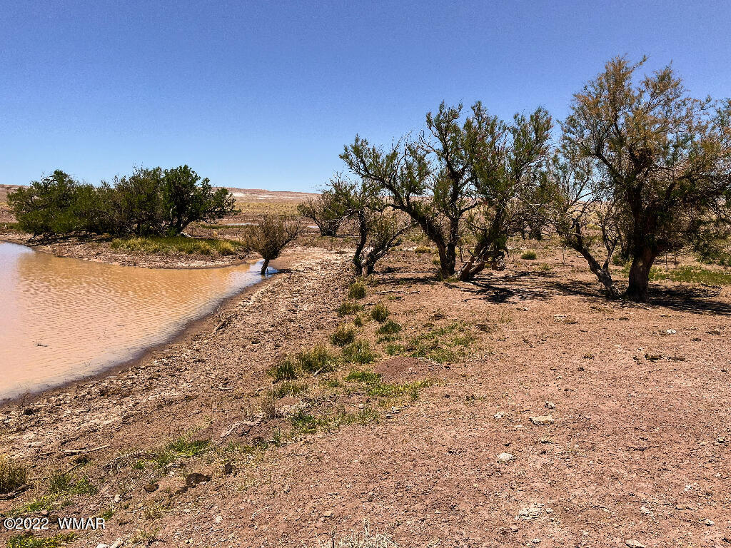 4001 North Porter Road Joseph City, AZ 86032 - Photo 12 of 18