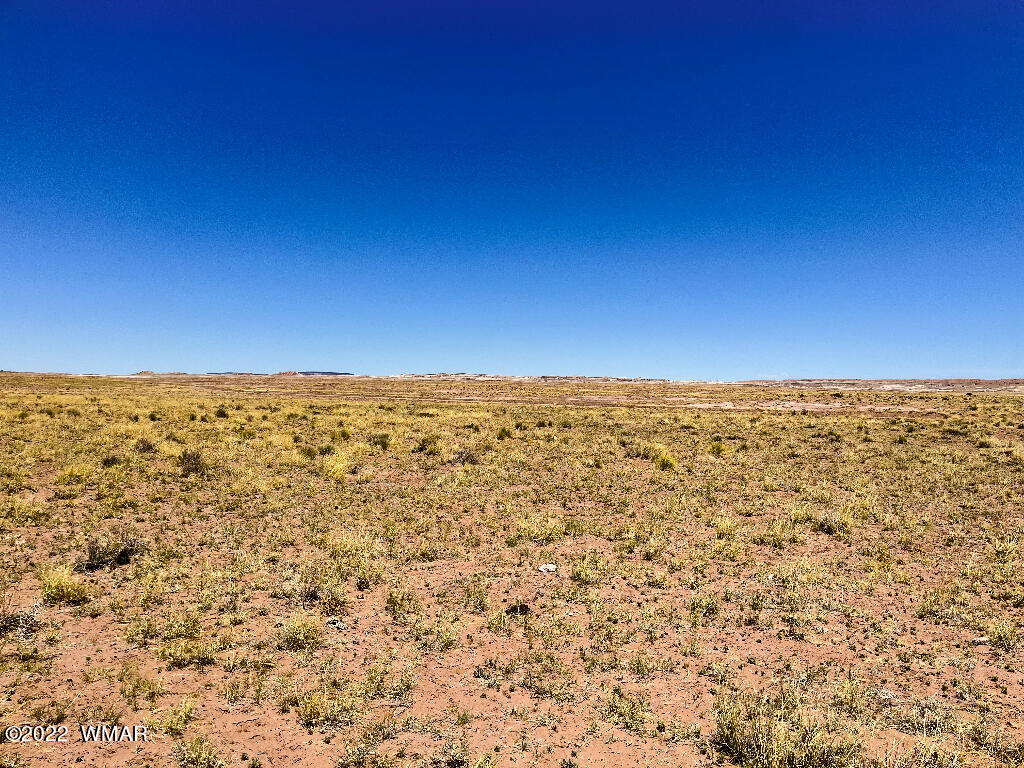 4001 North Porter Road Joseph City, AZ 86032 - Photo 5 of 18