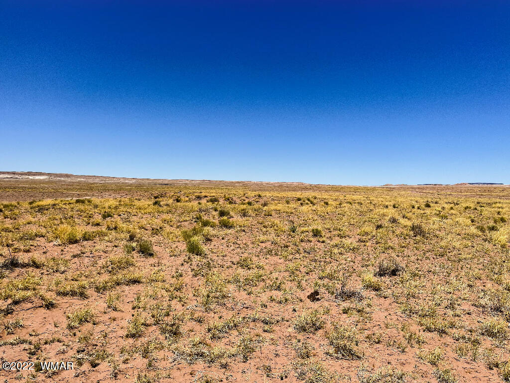 4001 North Porter Road Joseph City, AZ 86032 - Photo 6 of 18