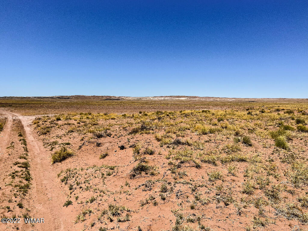 4001 North Porter Road Joseph City, AZ 86032 - Photo 7 of 18