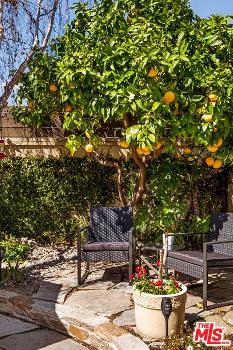 12029 Juniette Street Culver City, CA 90230 - Photo 4 of 4 a outdoor space with a tree