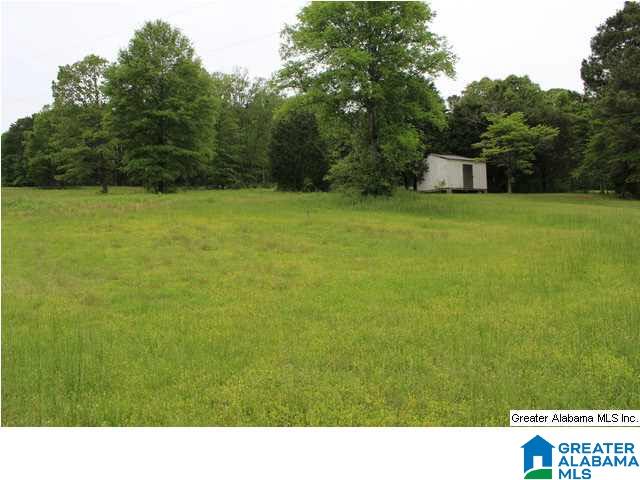 1211 Airport Road Eastaboga, AL 36260 - Photo 23 of 32