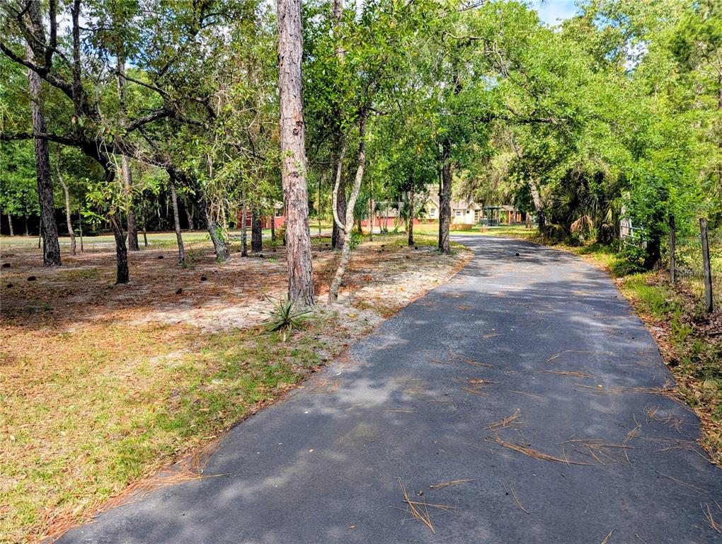 18001 Nelson Road Spring Hill, FL 34610 - Photo 9 of 29 a view of a yard with plants and trees