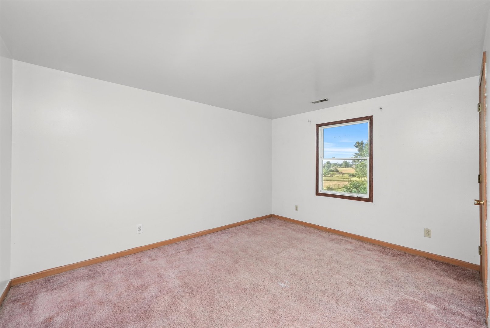 4224 West Offner Road Monee, IL 60449 - Photo 24 of 32 an empty room with windows