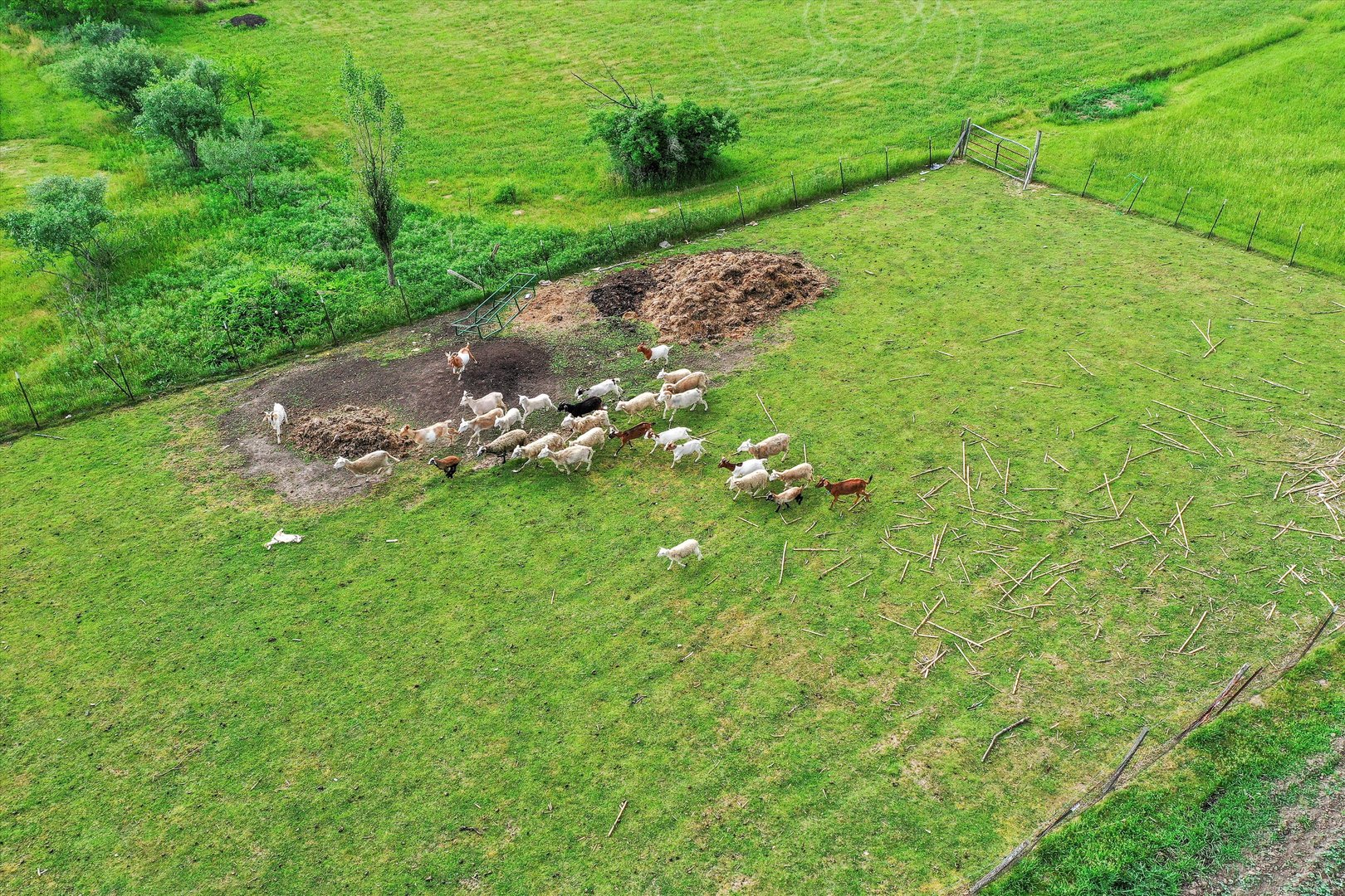 4224 West Offner Road Monee, IL 60449 - Photo 6 of 32 a backyard of a house with lots of green space