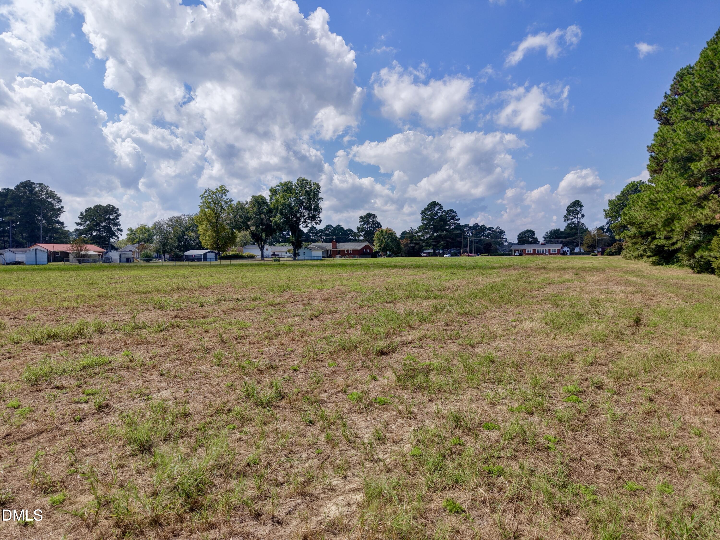 4.47-ac Fairground Road Dunn, NC 28334 - Photo 16 of 23 a view of a big yard with an trees