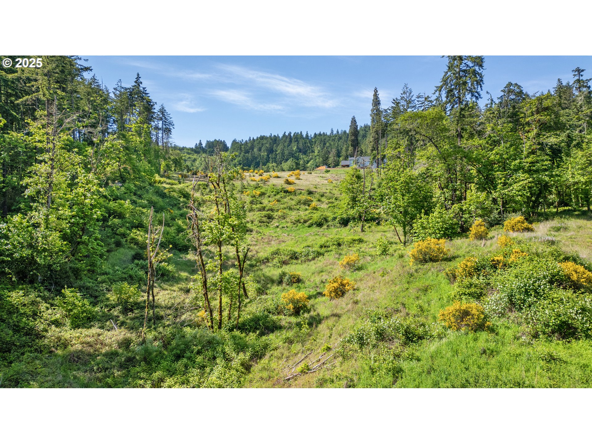 Spring Boulevard Eugene, OR 97405 - Photo 24 of 29