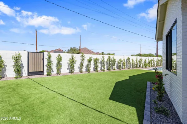 a view of a back yard