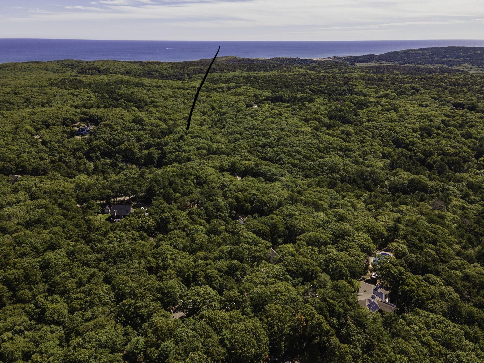 63 Old Kings Highway Truro, MA 02666 - Photo 2 of 11 a view of an outdoor space and a yard