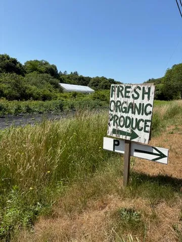 a view of a lake with a outdoor space