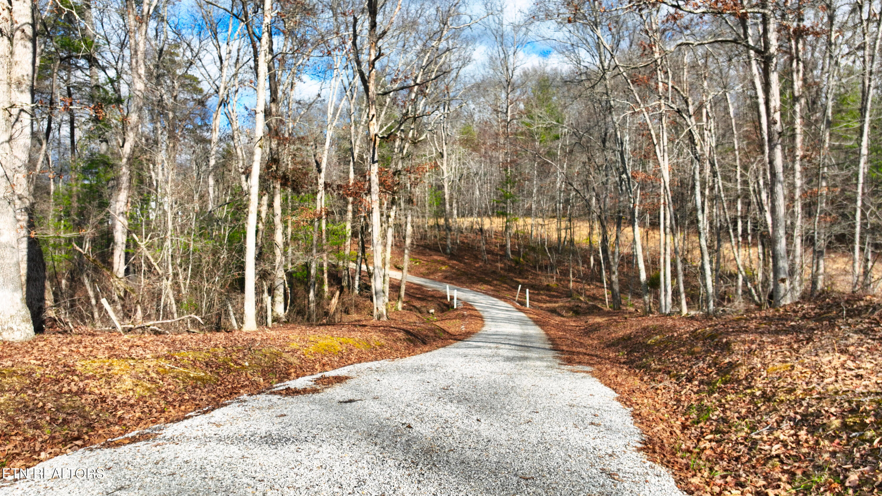 0 Jr Hall Road Sunbright, TN 37872 - Photo 6 of 8 beyc6a22035fb9103