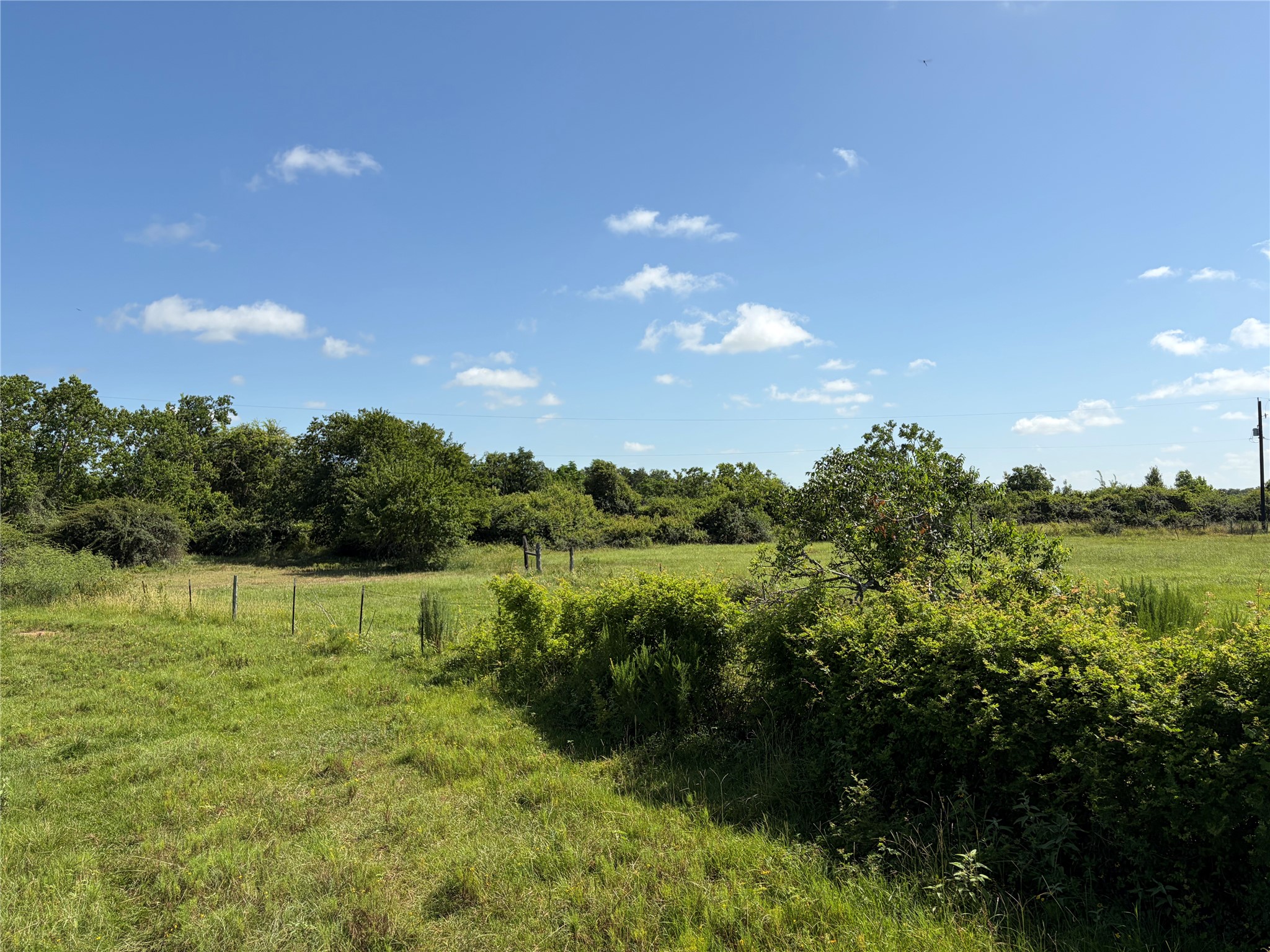 1186 Schindler Road Alleyton, TX 78935 - Photo 13 of 17