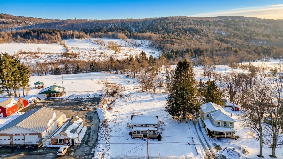 630 Charlotte Valley Road Summit, NY 12036 - Photo 29 of 39