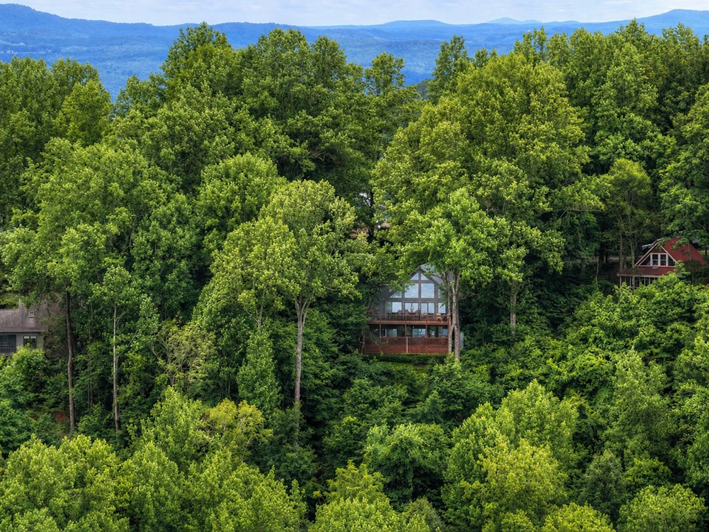 161 Walnut Ridge Ellijay, GA 30536 - Photo 51 of 66