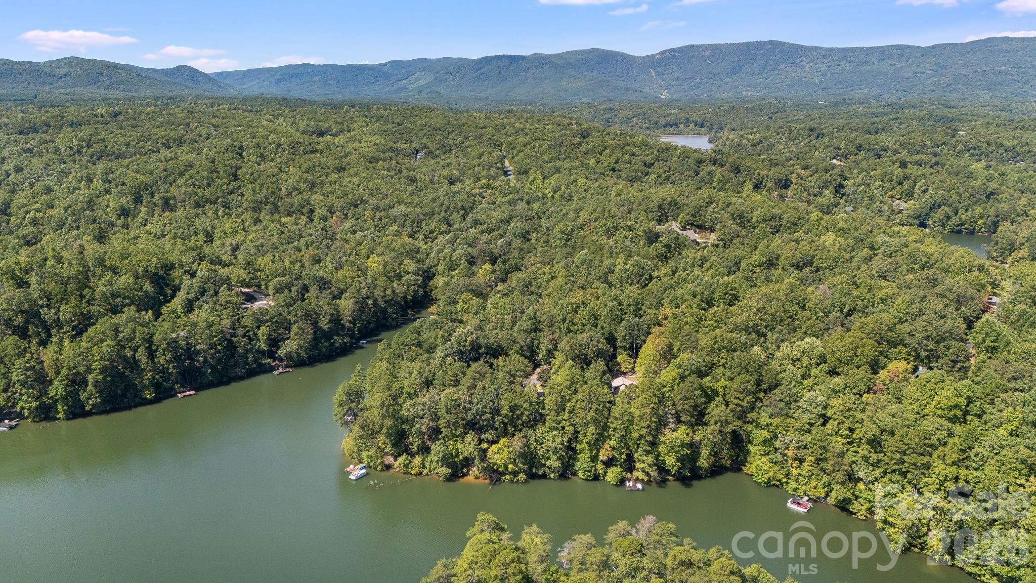 91 Island View Court Mill Spring, NC 28756 - Photo 43 of 48