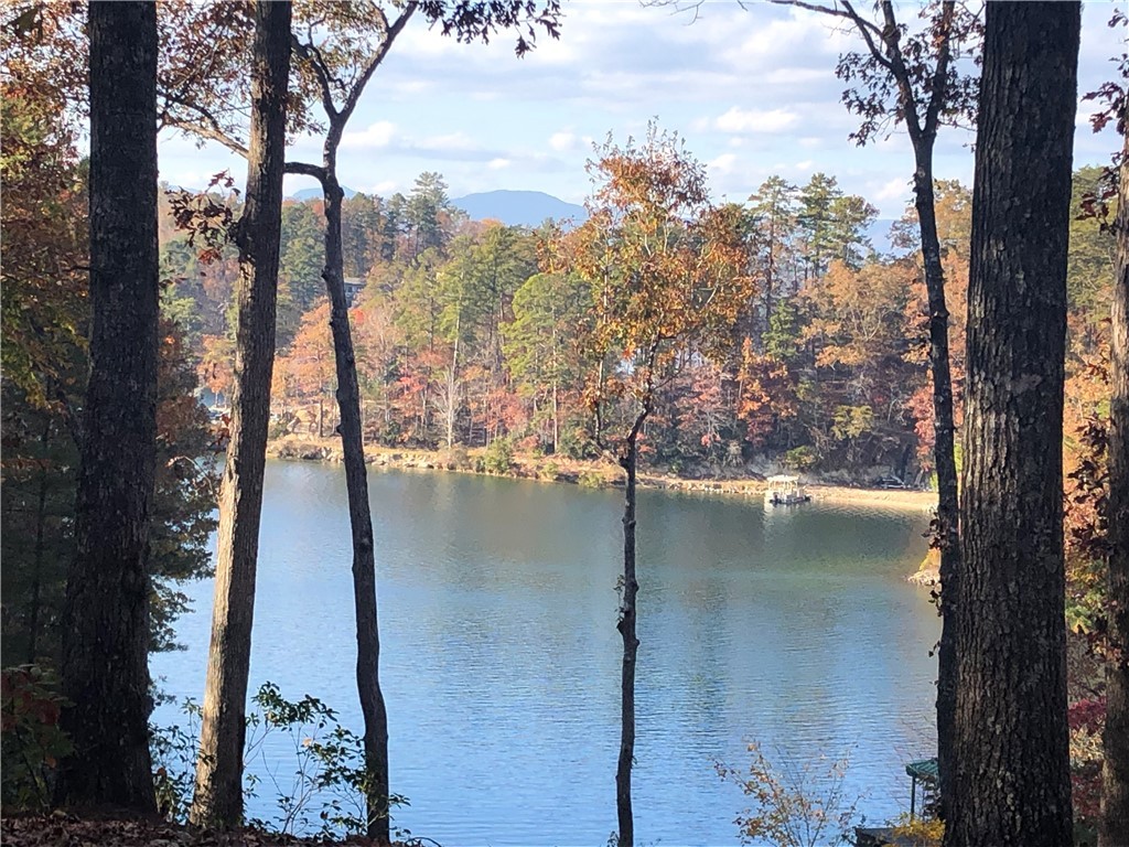 444 Old Shallowford Bridge Road, Unit 82 Sunset, SC 29685 - Photo 1 of 8 Gallery Image 1