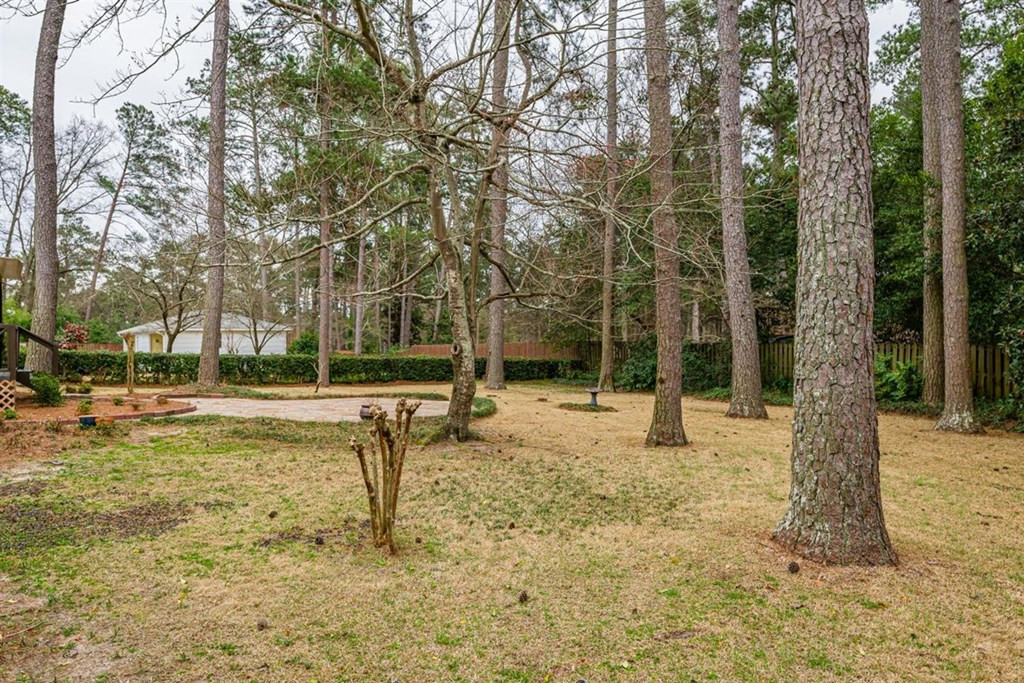 3176 Wheeler Road Augusta, GA 30909 - Photo 33 of 37
