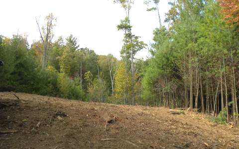 Indian Ridge Epworth, GA 30541 - Photo 1 of 1 Main View