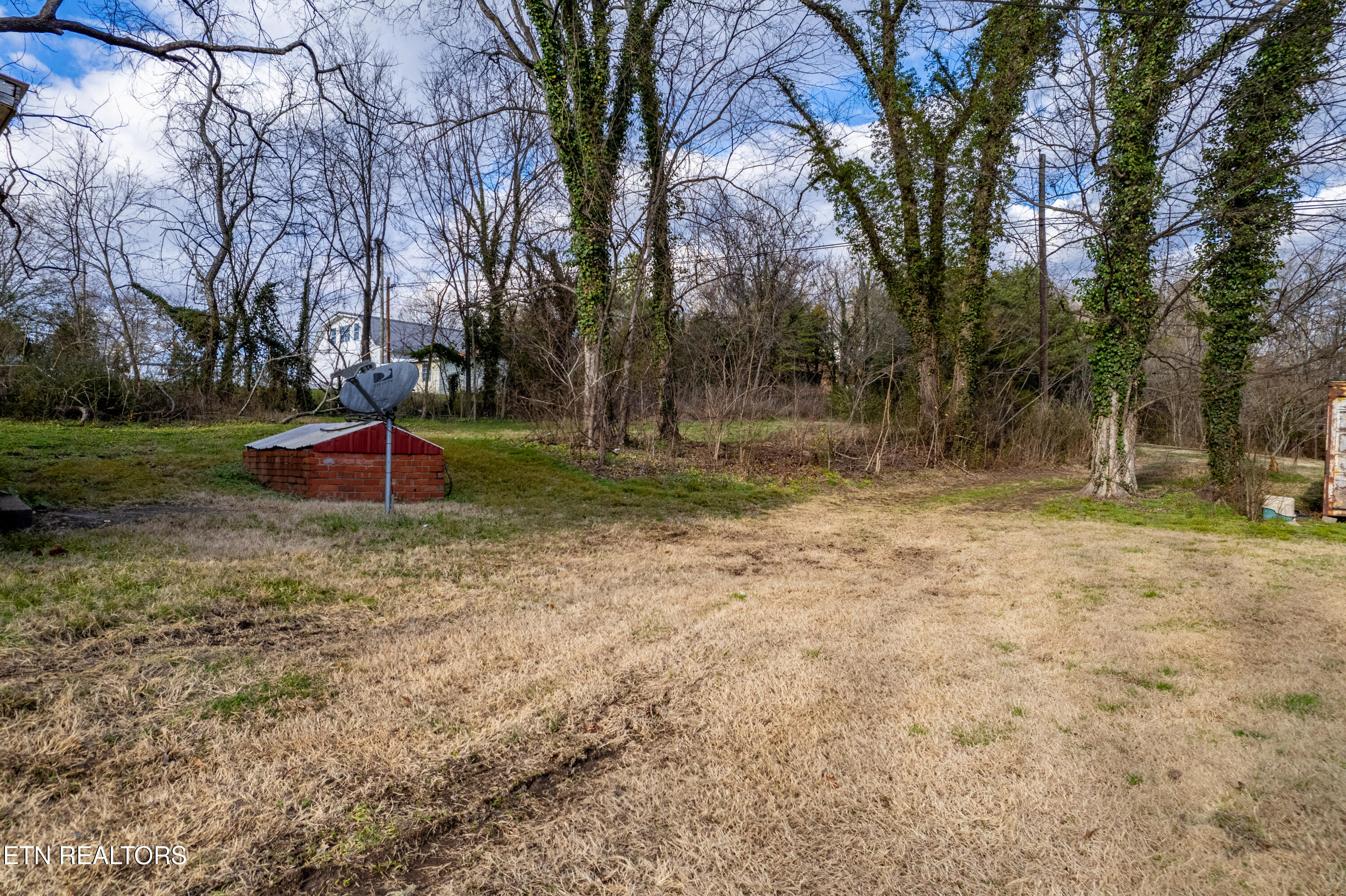 271 Trigonia Road Greenback, TN 37742 - Photo 7 of 26 271TrigoniaRd-35