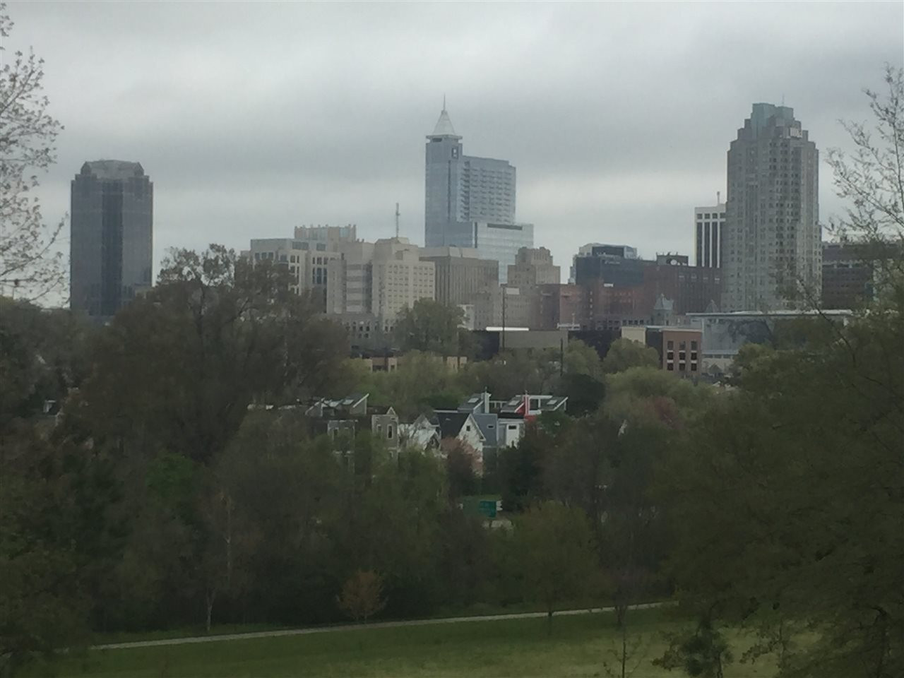 633 Effie Way Raleigh, NC 27603 - Photo 30 of 30 View of Dorothea Commons from Dix Park!