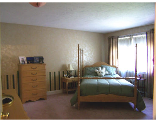 10 Molly Road Andover, MA 01810 - Photo 19 of 25 Gallery Image 19