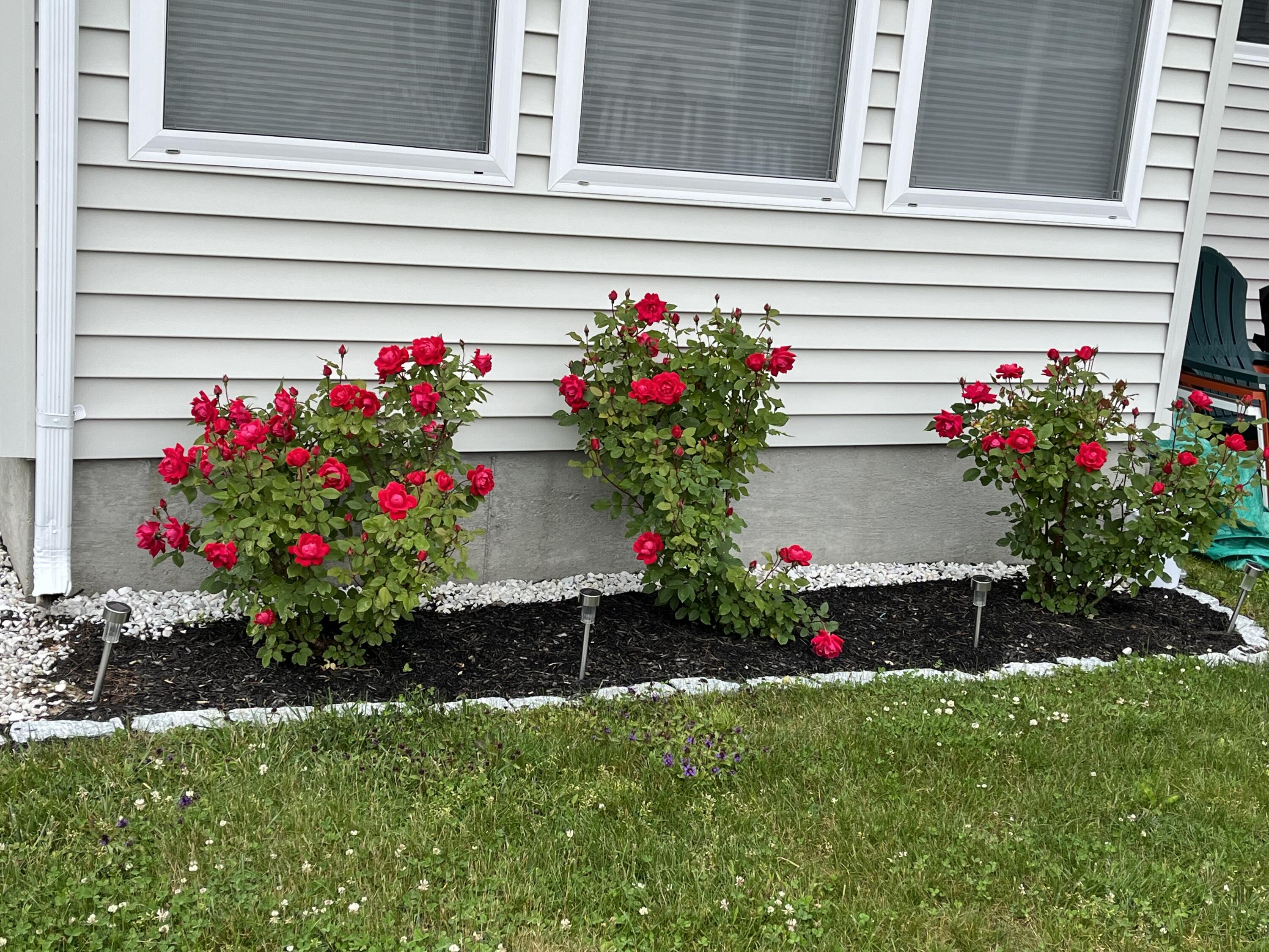 412 Post Road, Unit 119 Wells, ME 04090 - Photo 23 of 36 776CB1C7-C6EC-4E5A-A768-C0C7F14E2AC7