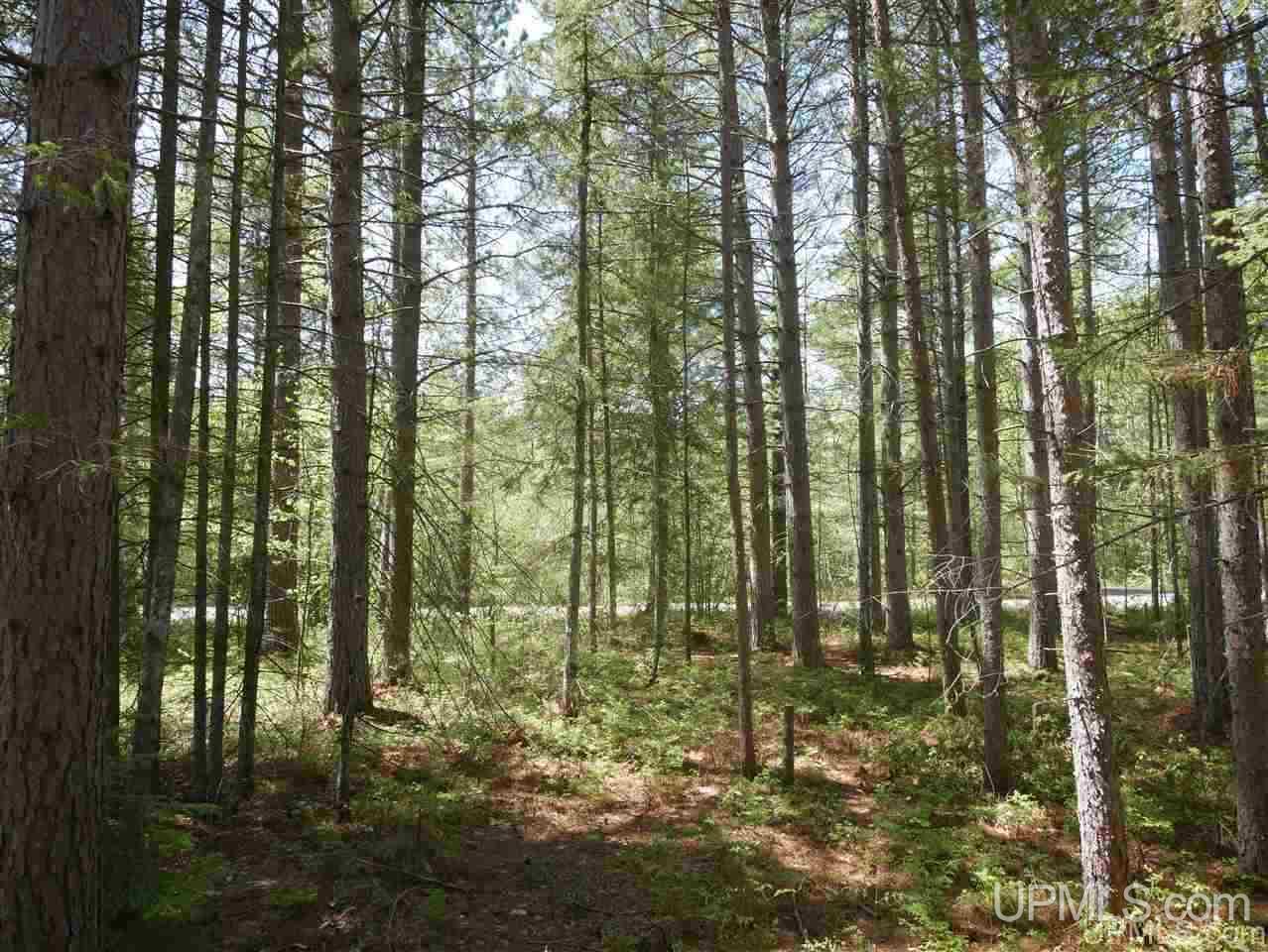 33985 Rice Landing Rd Lake Lake Linden, MI 49945 - Photo 16 of 30