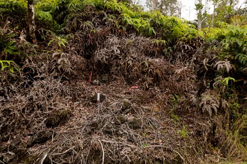 $50,000 | Anuhea Street, Volcano, HI 96785