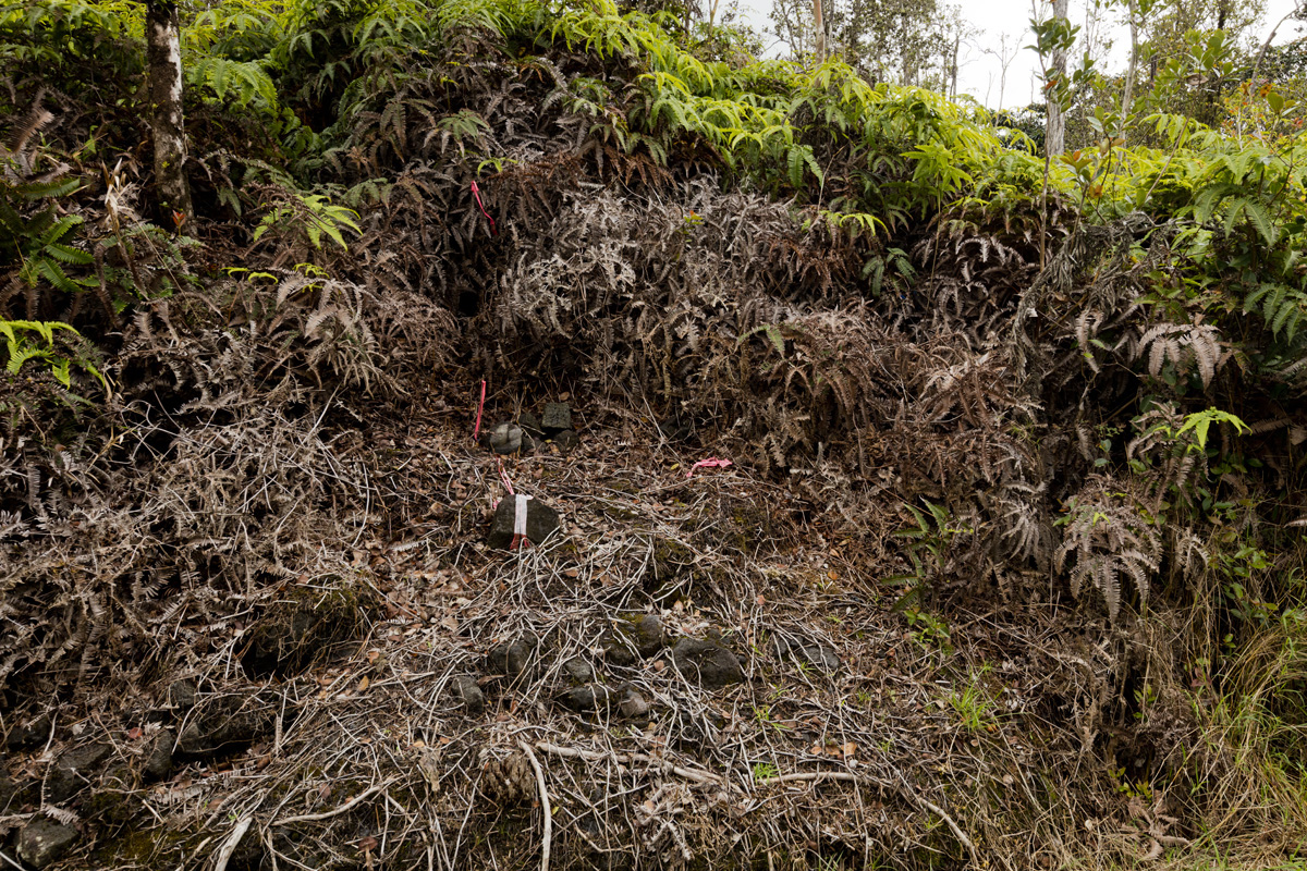 Anuhea Street Volcano, HI 96785 - Photo 19 of 21