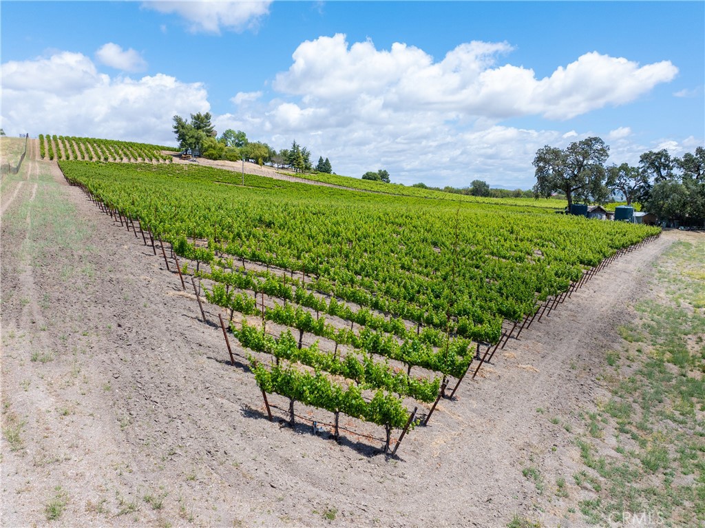 1618 Kiler Canyon Road Paso Robles, CA 93446 - Photo 56 of 62