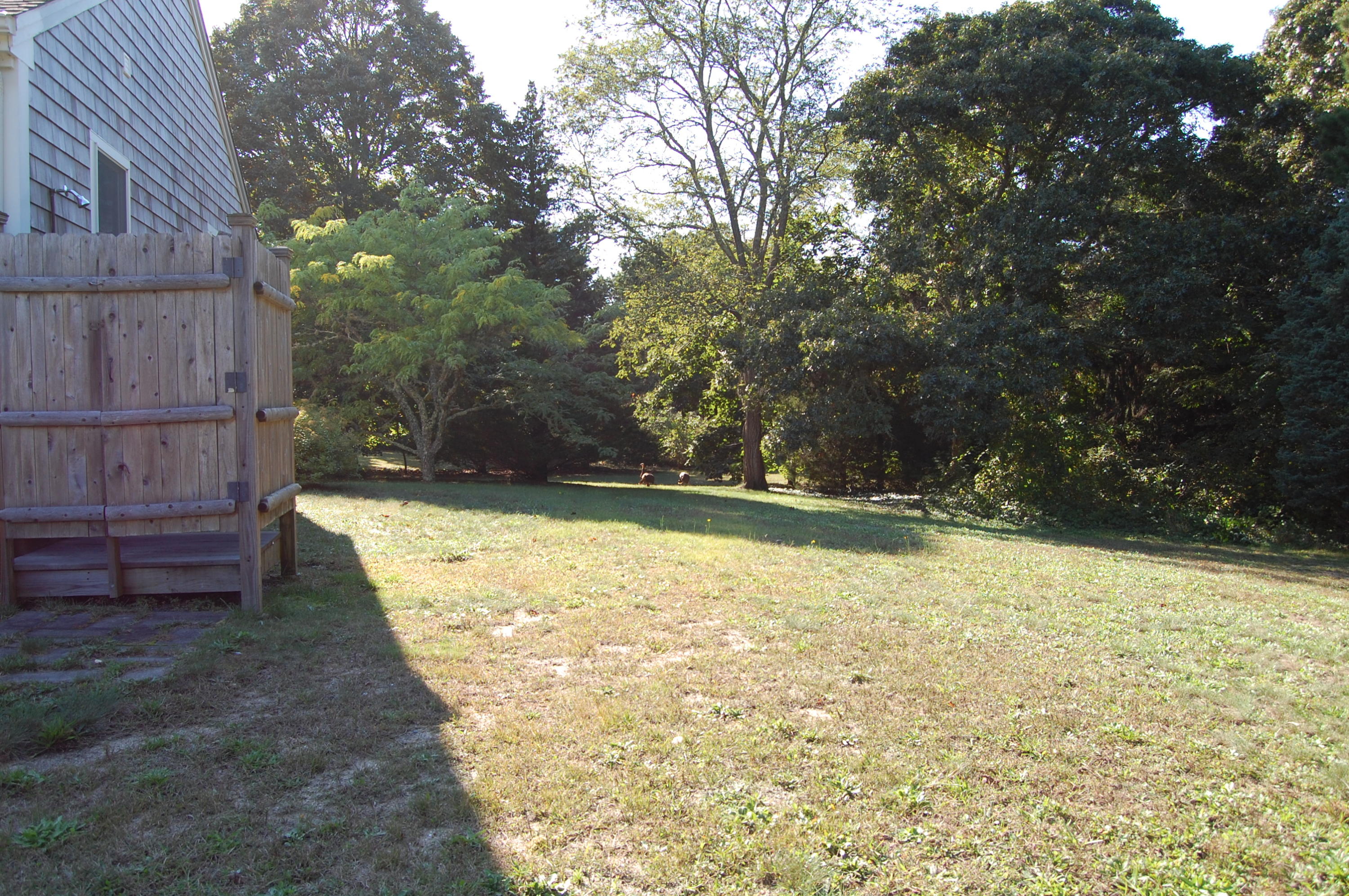 35 Nickerson Road Eastham, MA 02642 - Photo 24 of 35 a view of a backyard