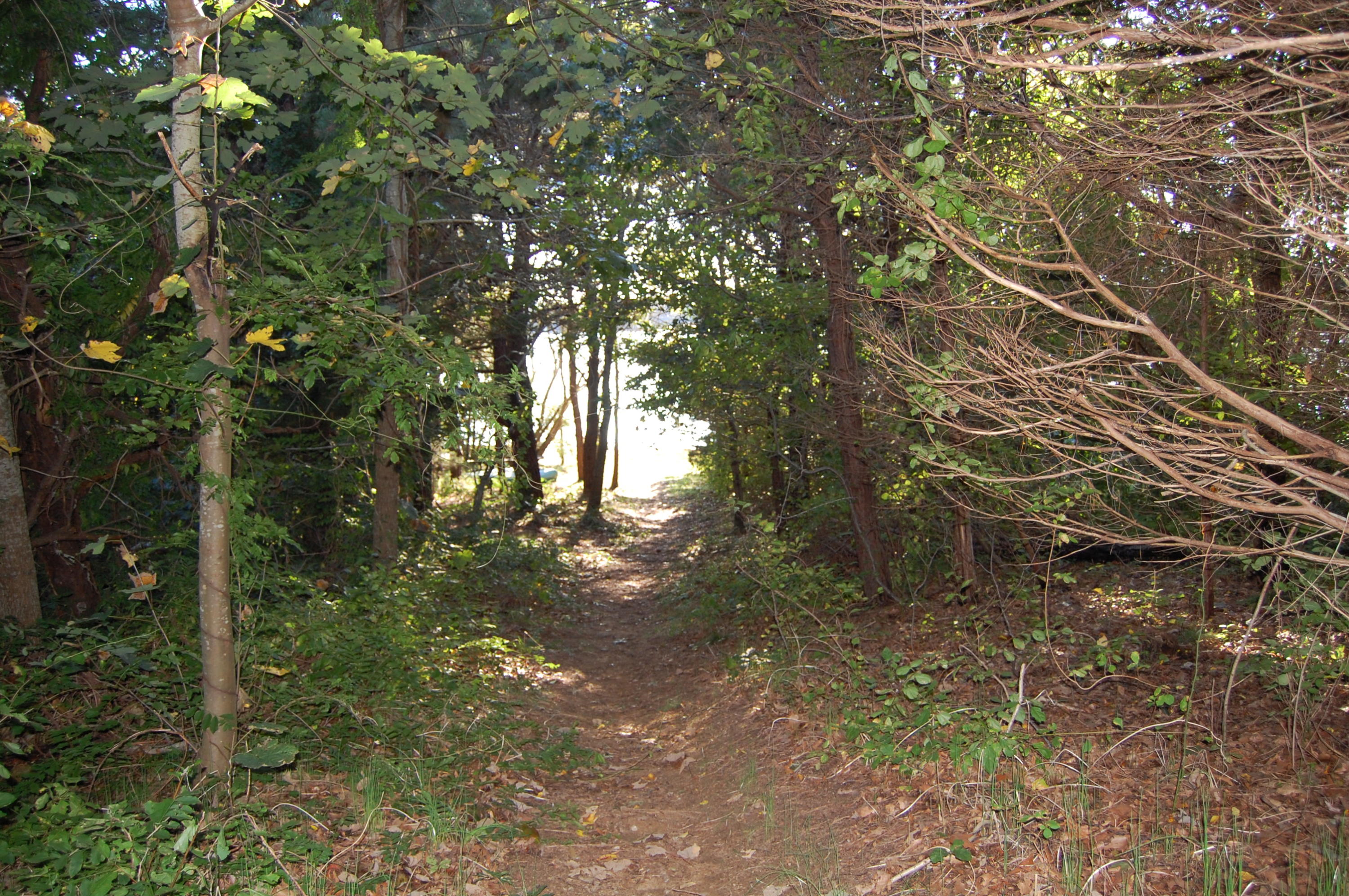 35 Nickerson Road Eastham, MA 02642 - Photo 28 of 35 a backyard of a house with lots of green space