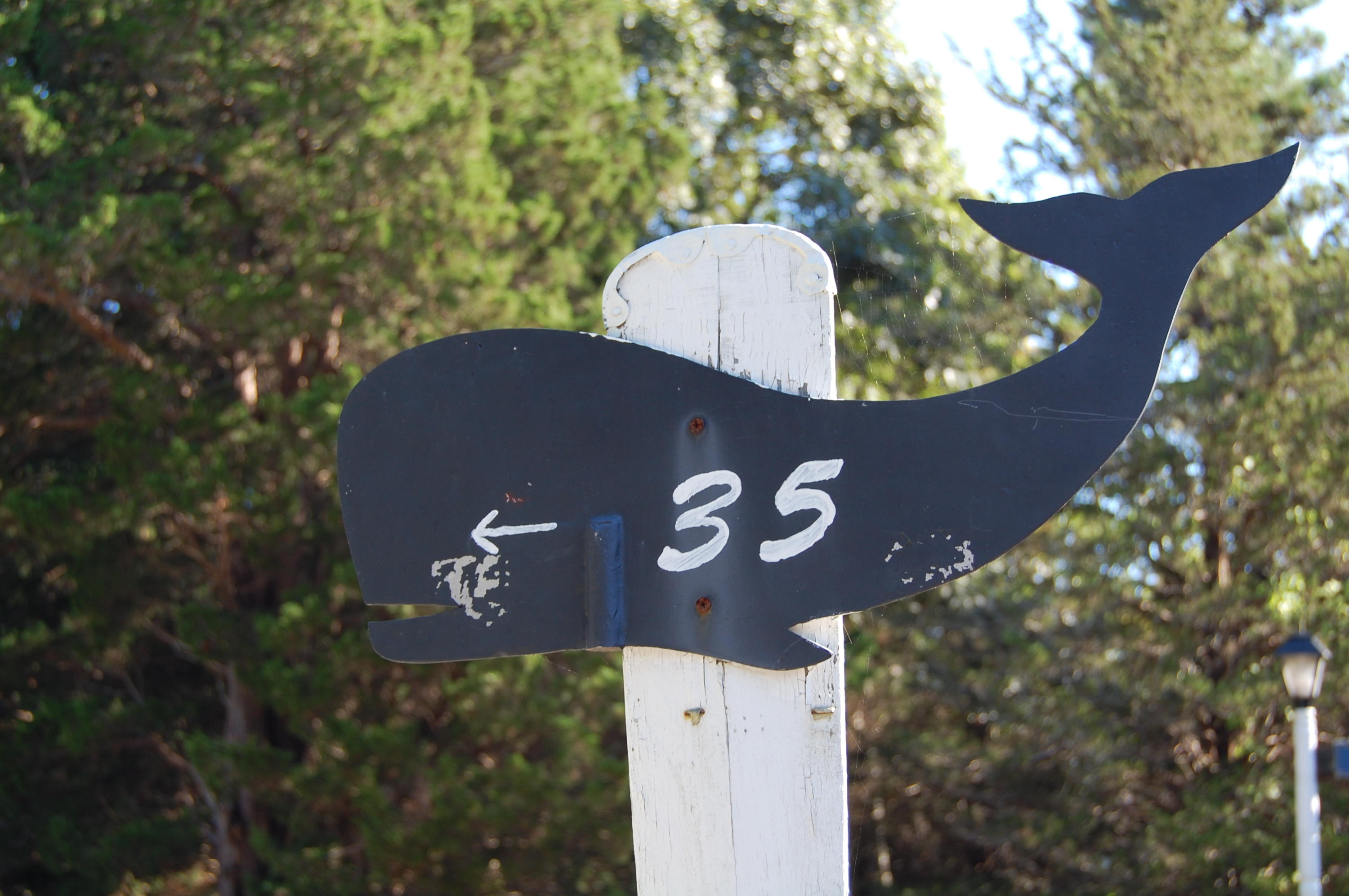 35 Nickerson Road Eastham, MA 02642 - Photo 4 of 35 a blue sign that is sitting on a wooden wall
