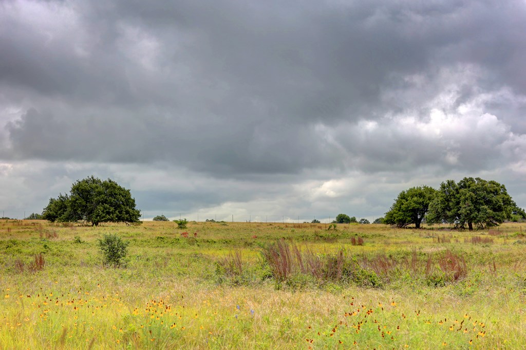 245 Big Sky Road Harper, TX 78631 - Photo 29 of 30
