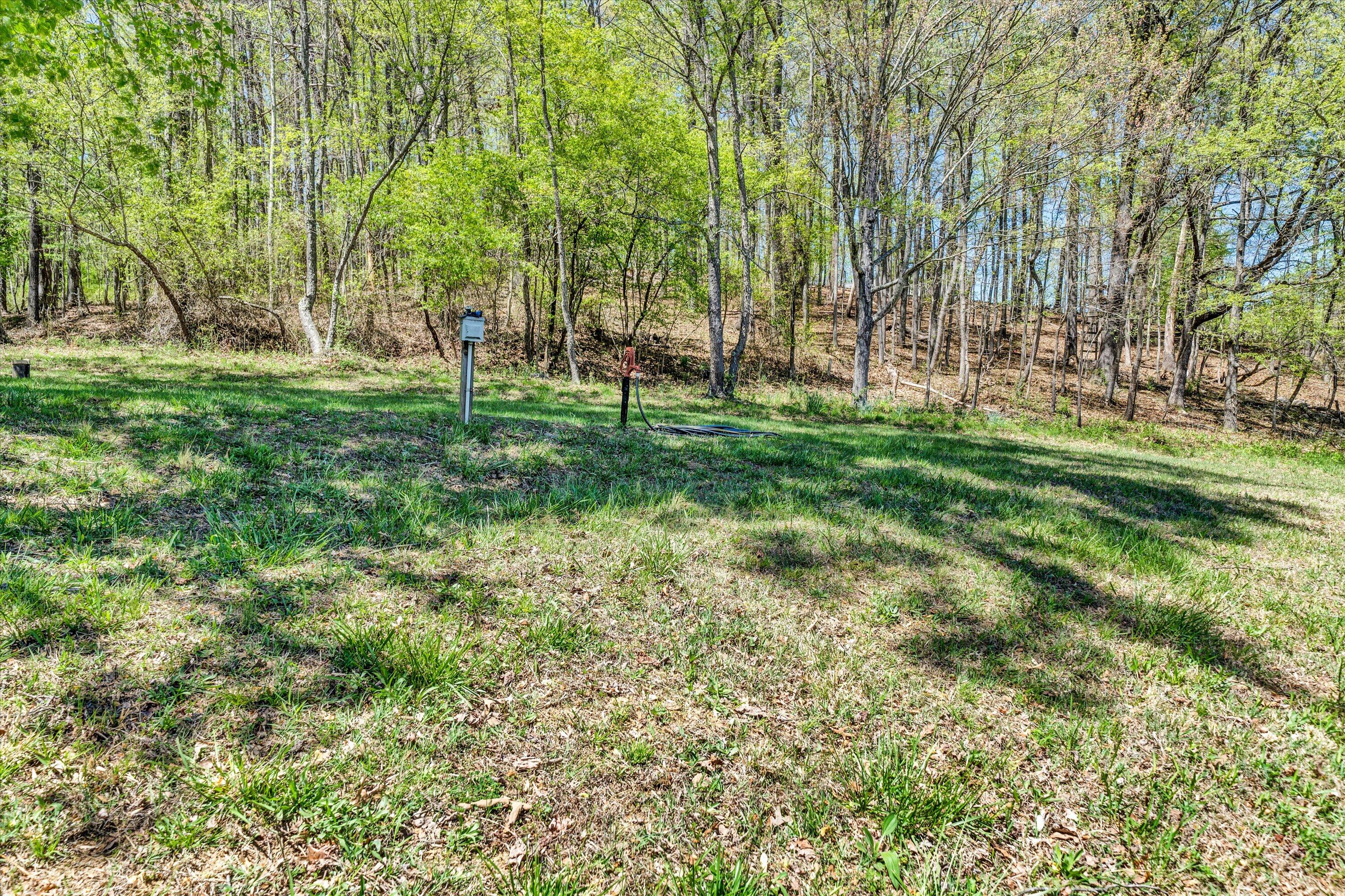 1186 Camp Jaycee Road Blue Ridge, VA 24064 - Photo 41 of 54 a view of park with trees