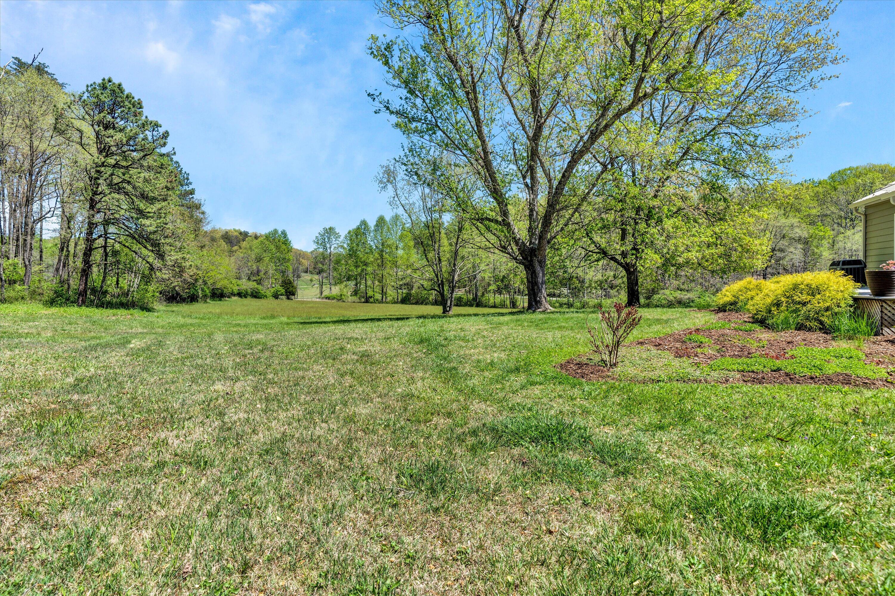 1186 Camp Jaycee Road Blue Ridge, VA 24064 - Photo 42 of 54 a view of a field with trees