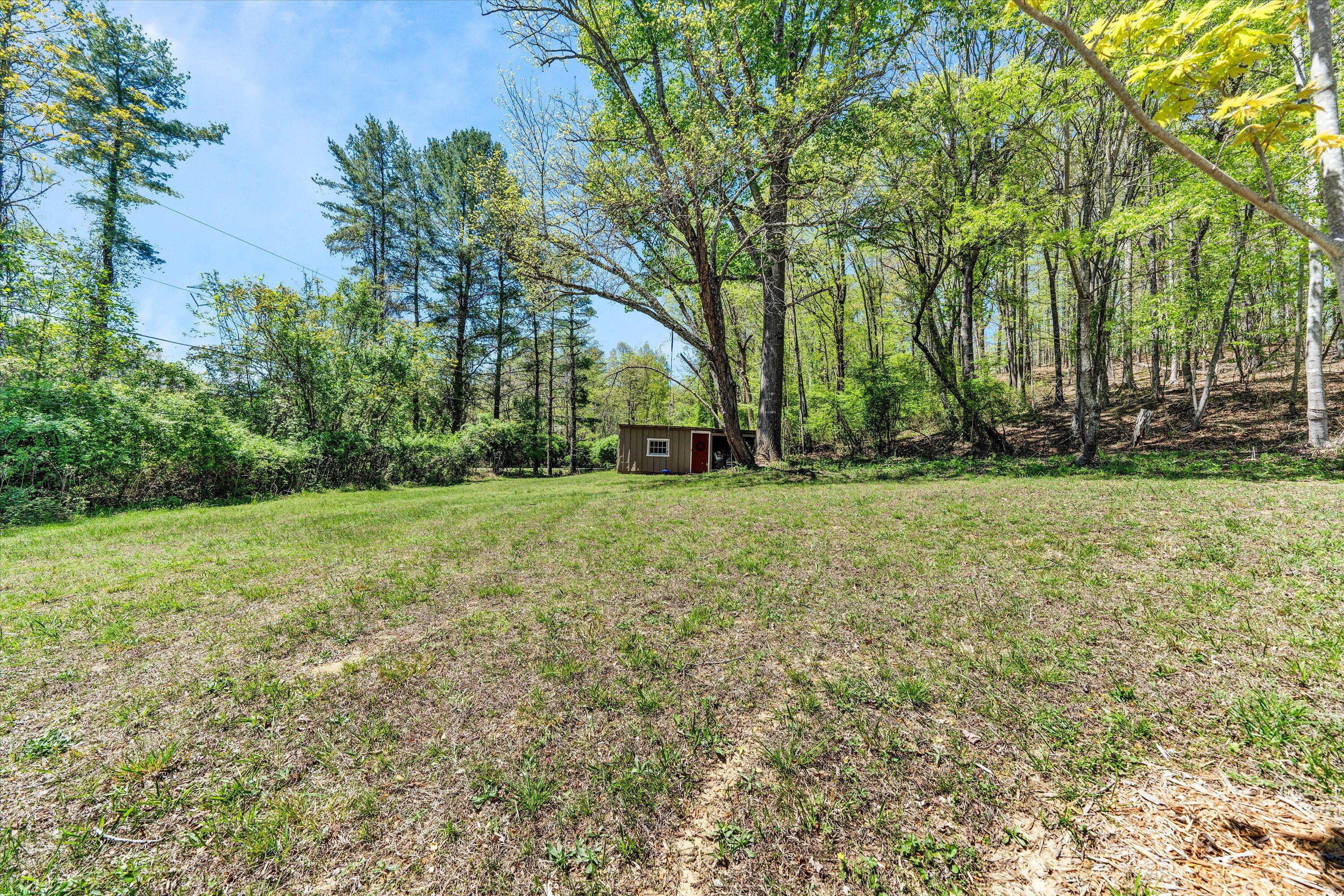 1186 Camp Jaycee Road Blue Ridge, VA 24064 - Photo 44 of 54 a view of green field with trees in the background