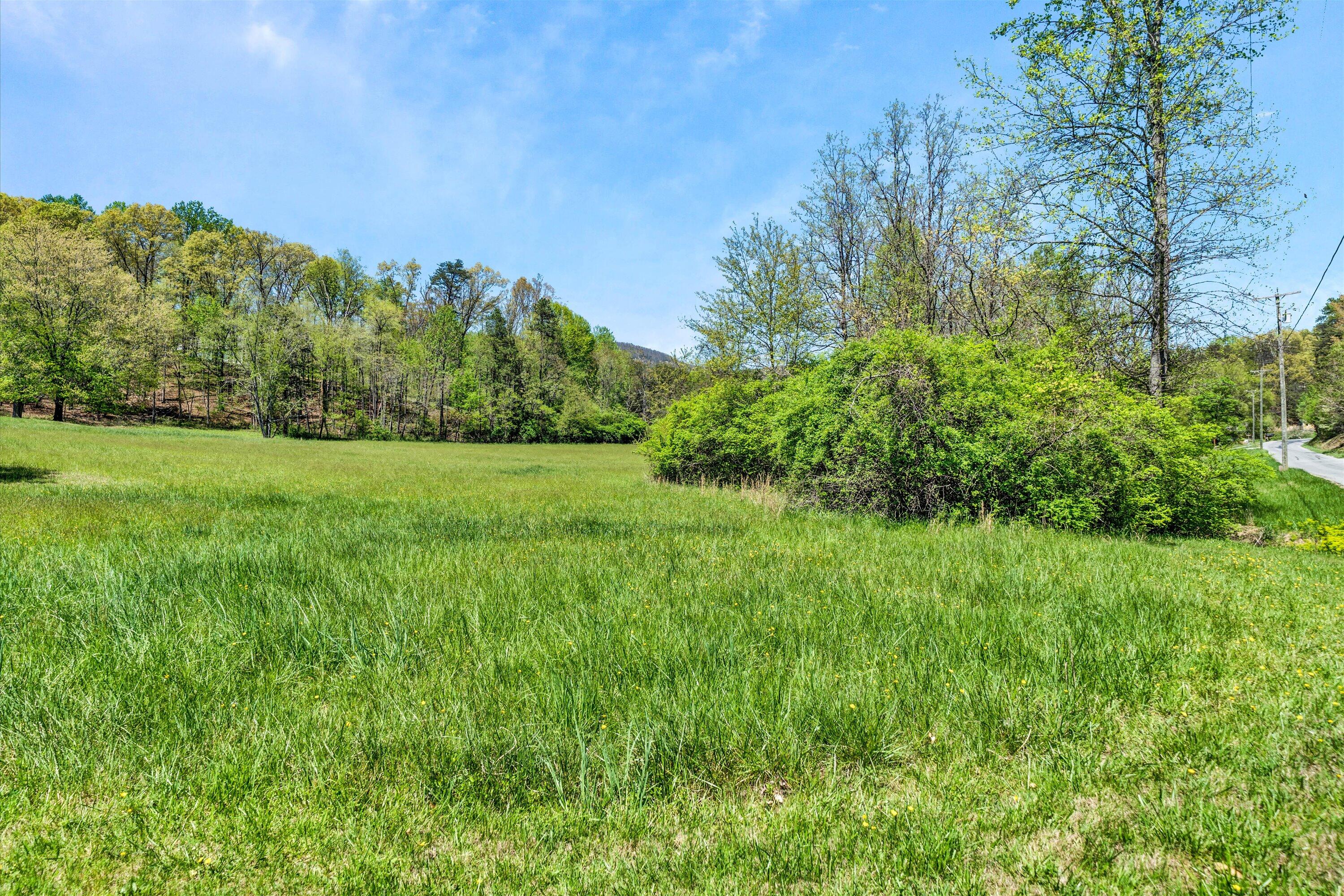 1186 Camp Jaycee Road Blue Ridge, VA 24064 - Photo 47 of 54 a view of a big yard with plants and large trees