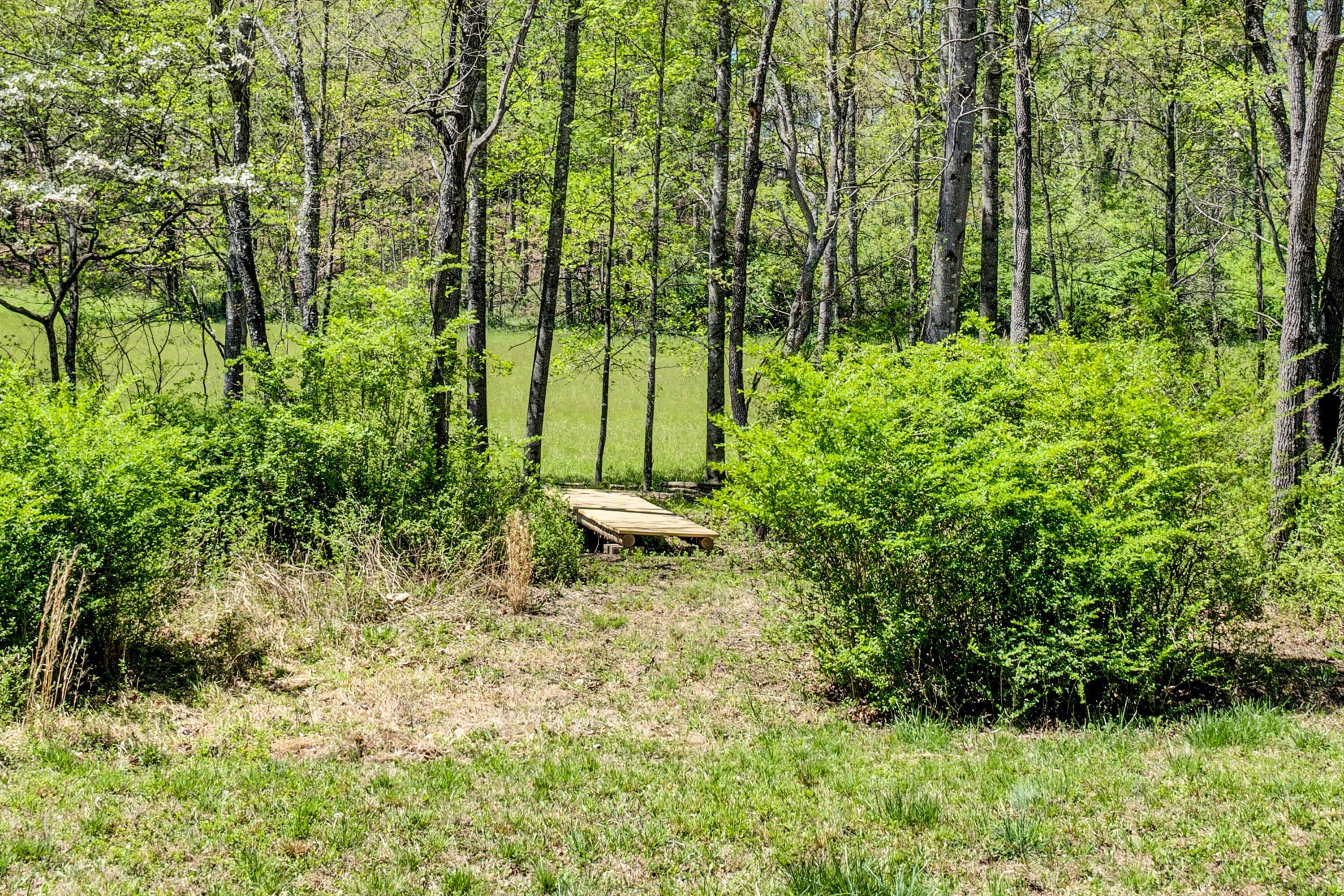 1186 Camp Jaycee Road Blue Ridge, VA 24064 - Photo 48 of 54 a view of a garden
