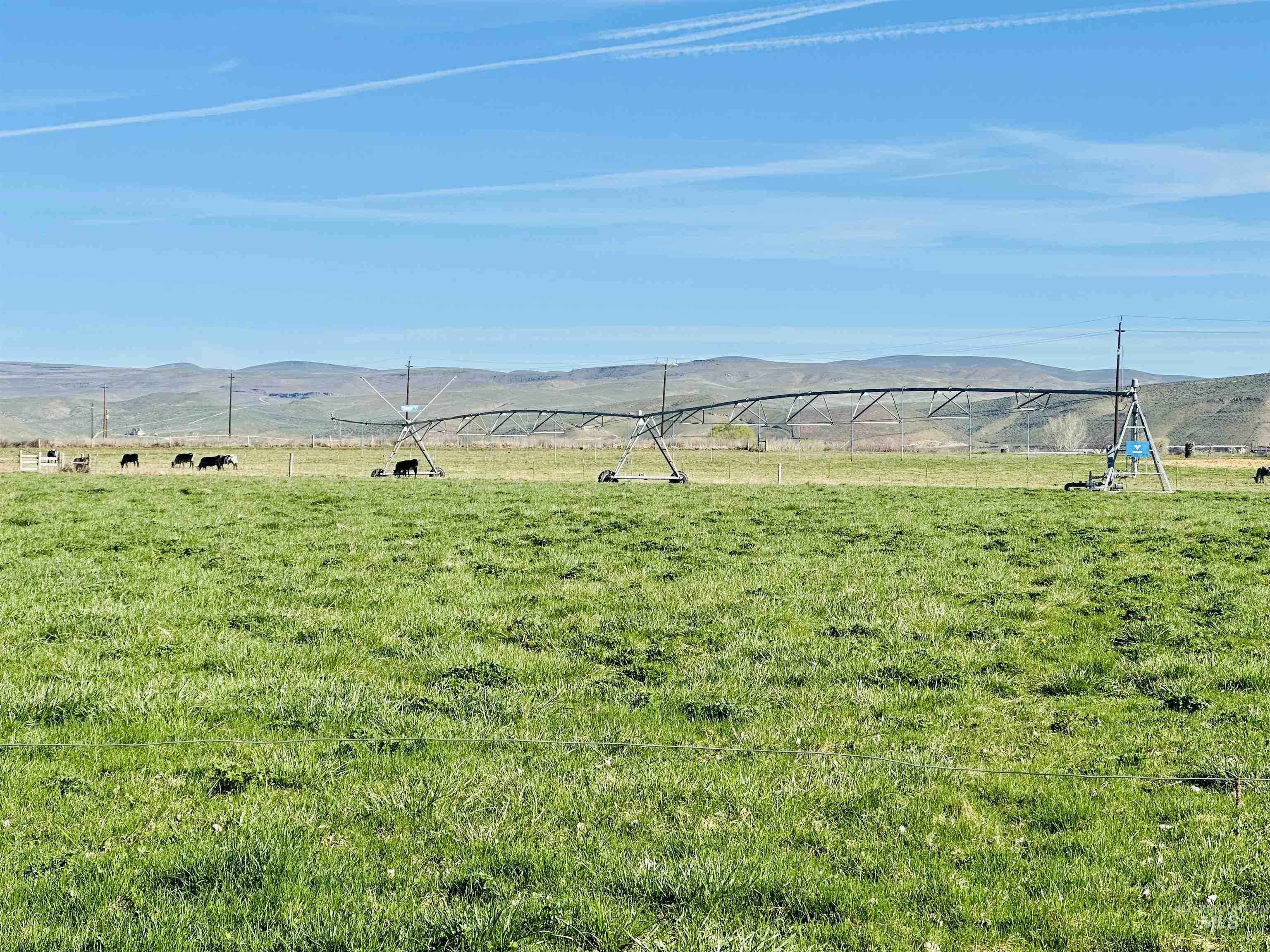 5051 South Rd J Vale, OR 97918 - Photo 42 of 49 View of green lawn with a mountain view and a view of rural / pastoral area