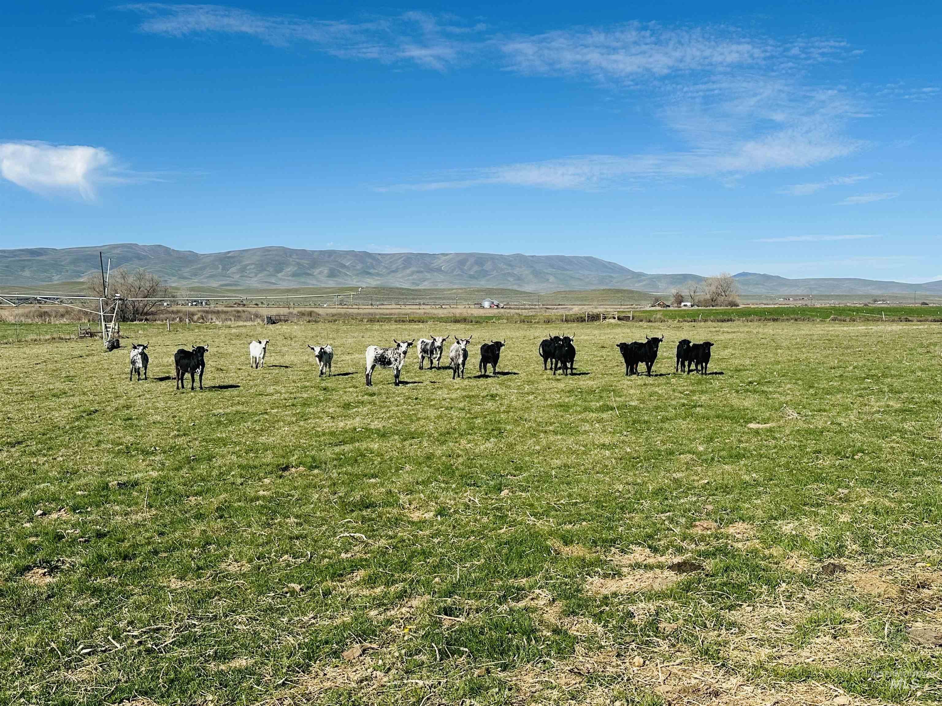 5051 South Rd J Vale, OR 97918 - Photo 43 of 49 View of mountain background with rural landscape