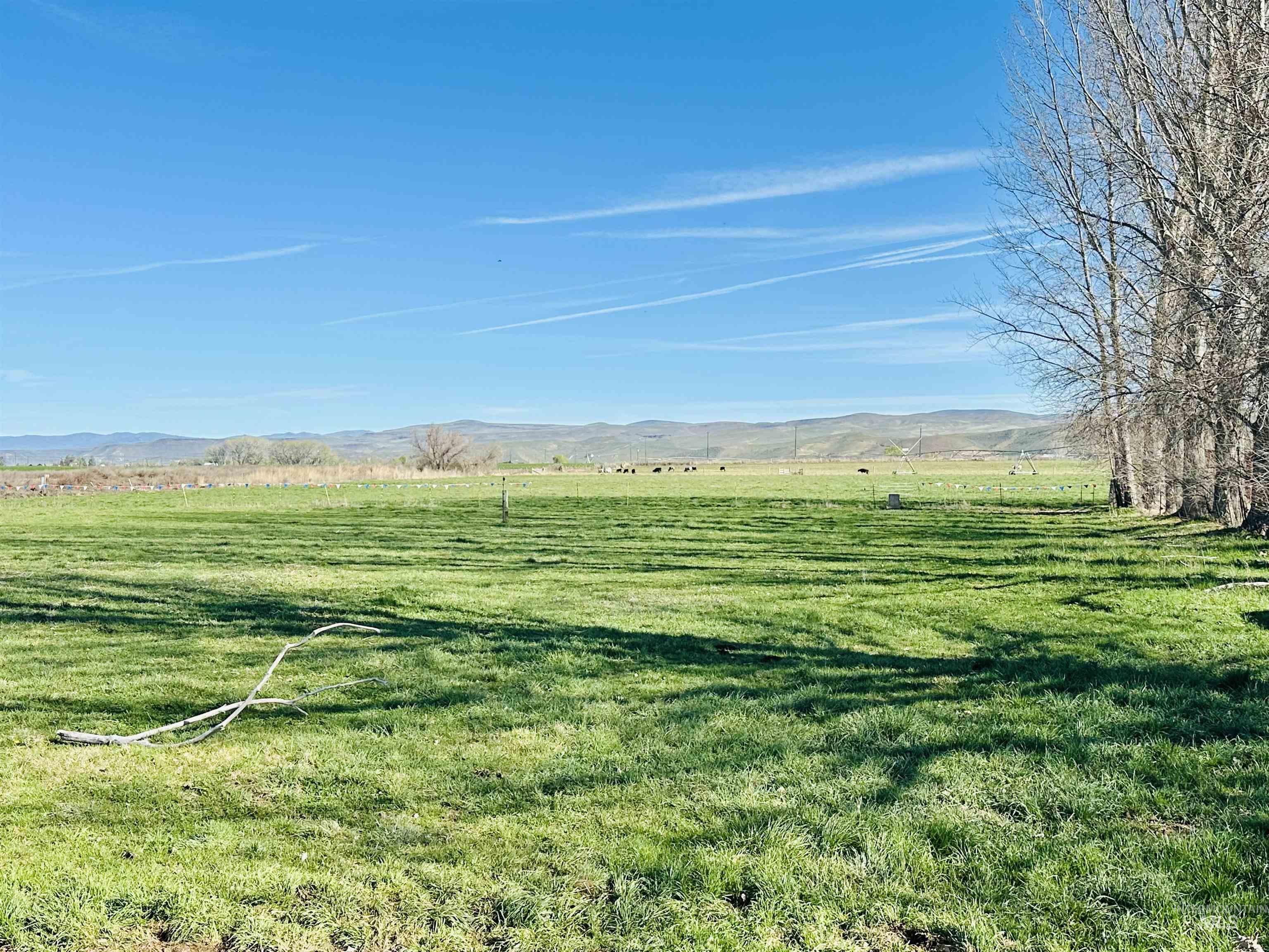 5051 South Rd J Vale, OR 97918 - Photo 45 of 49 View of grassy pasture featuring a mountain view and a view of countryside