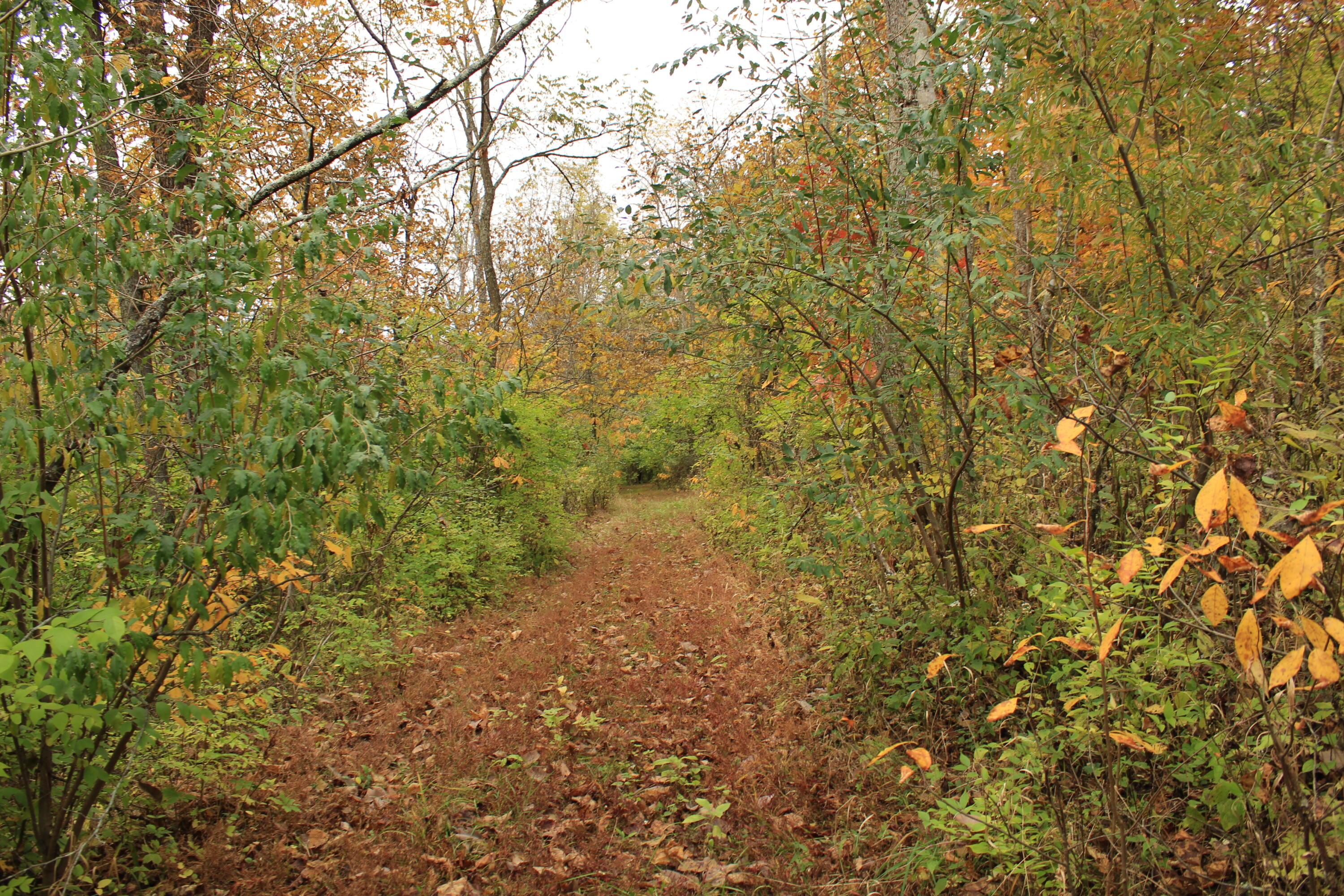 1316 Buttermilk Run Road Manchester, OH 45144 - Photo 90 of 107 91
