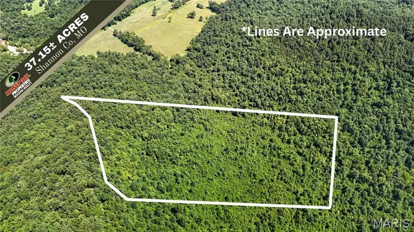 $98,000 | Tbd Tbd Antler Ridge, Bunker, MO 63629