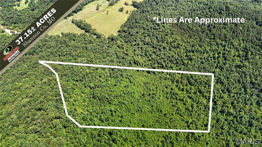 Tbd Tbd Antler Ridge Bunker, MO 63629 - Photo 1 of 26 Gallery Image 1