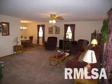 302 Boundary Road Creal Springs, IL 62922 - Photo 2 of 15